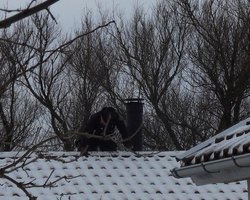 Niet bang van sneeuw op het dak